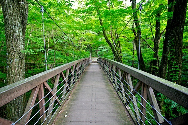 吊り橋