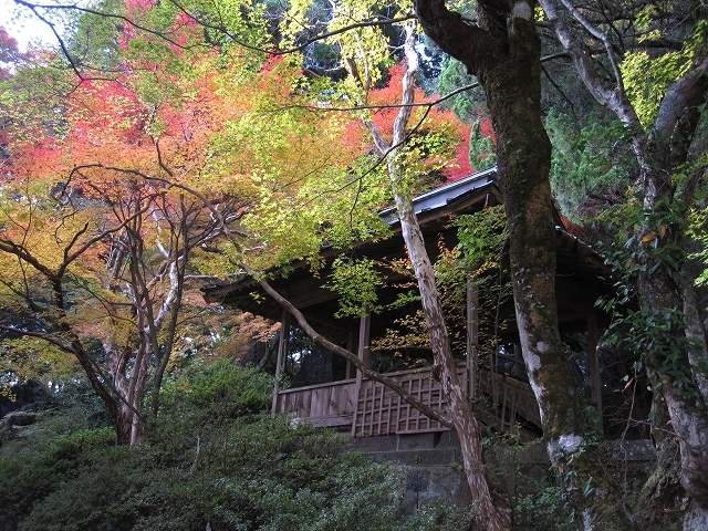 ’１０京の上臈秋景