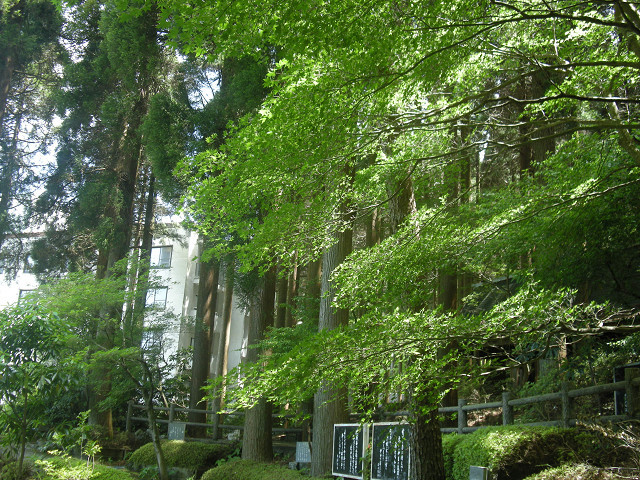 敷地内散策コースでの風景Ⅱ