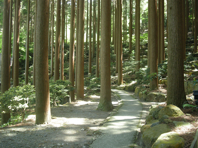 敷地内散策コースでの風景Ⅲ