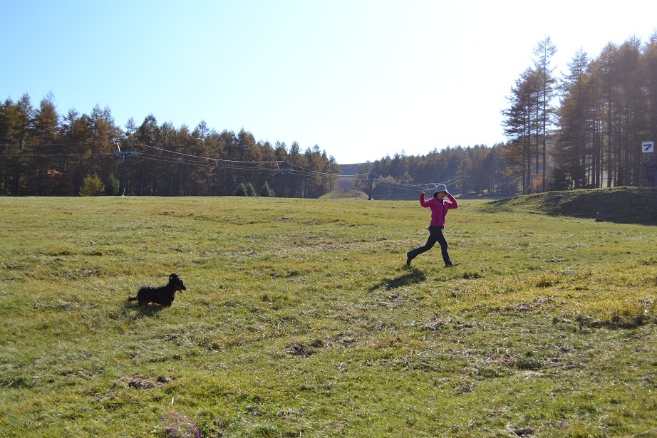 秋のエコーバレースキー場
