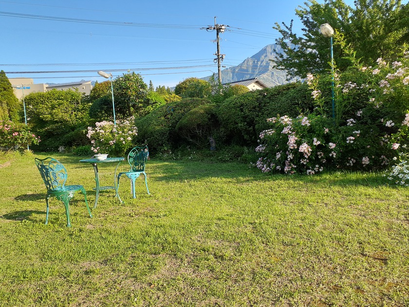 庭から眺める高岳は絶景です。