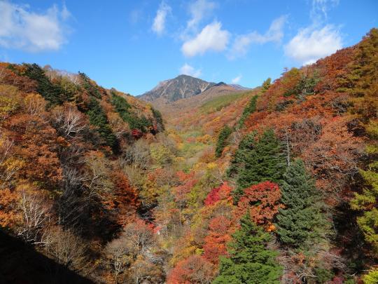 川俣渓谷（紅葉）