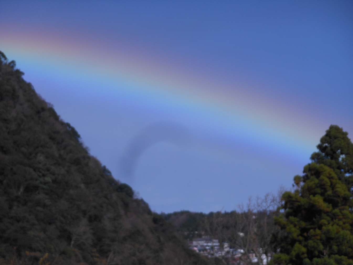 虹