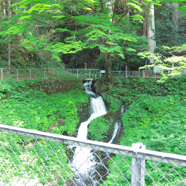 箱島湧水