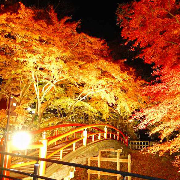 河鹿橋紅葉ライトアップ