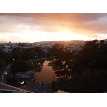 屋上からの猿沢池