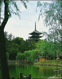 当館目の前の猿沢池（昼）「写真：奈良市観光協会」