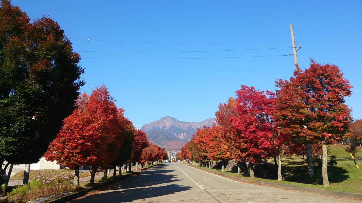 JR野辺山駅前〜秋の紅葉通り〜