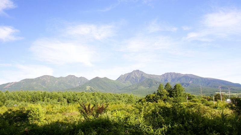 夏全室から八ヶ岳を一望