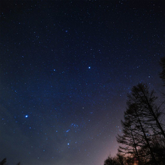 sXL[pbNtkx̃pE_[Xm[䍂XL[1tgtHt