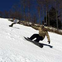 sXL[pbNQHtt䍂XL[1tgtIׂ[H