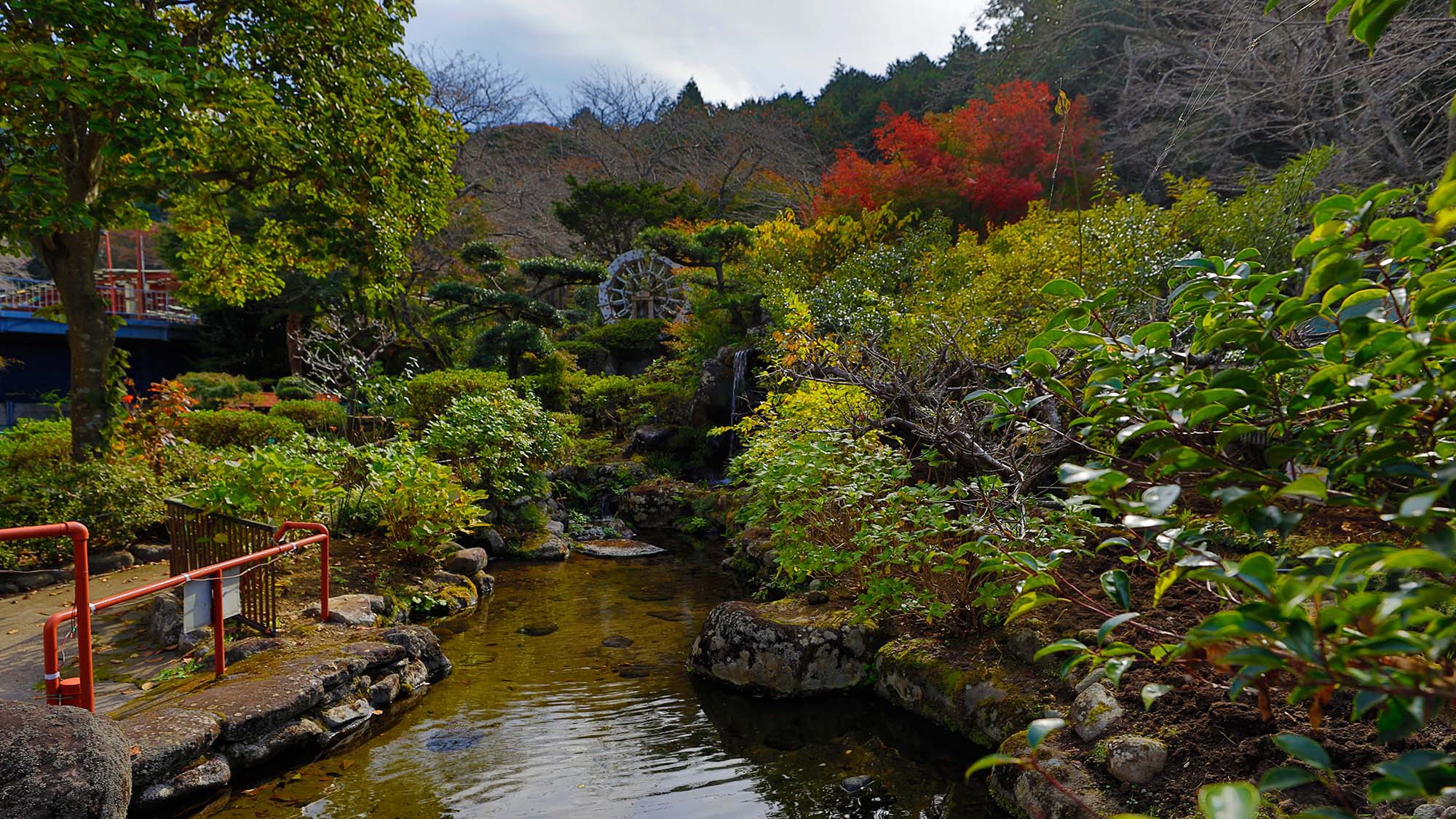 四季折々の自然に彩られる庭園。春には桜、初夏にはホタルとアジサイ、秋には紅葉が楽しめます