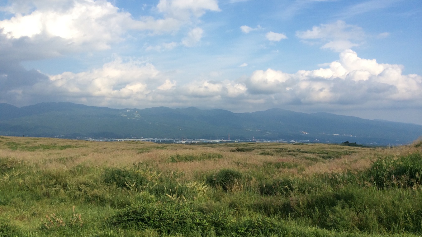 東富士演習場自衛隊横断道路のすすき野原