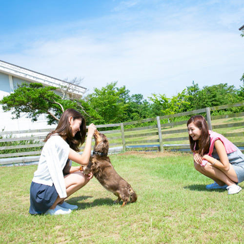 コテージ前のドックランで遊んじゃおう