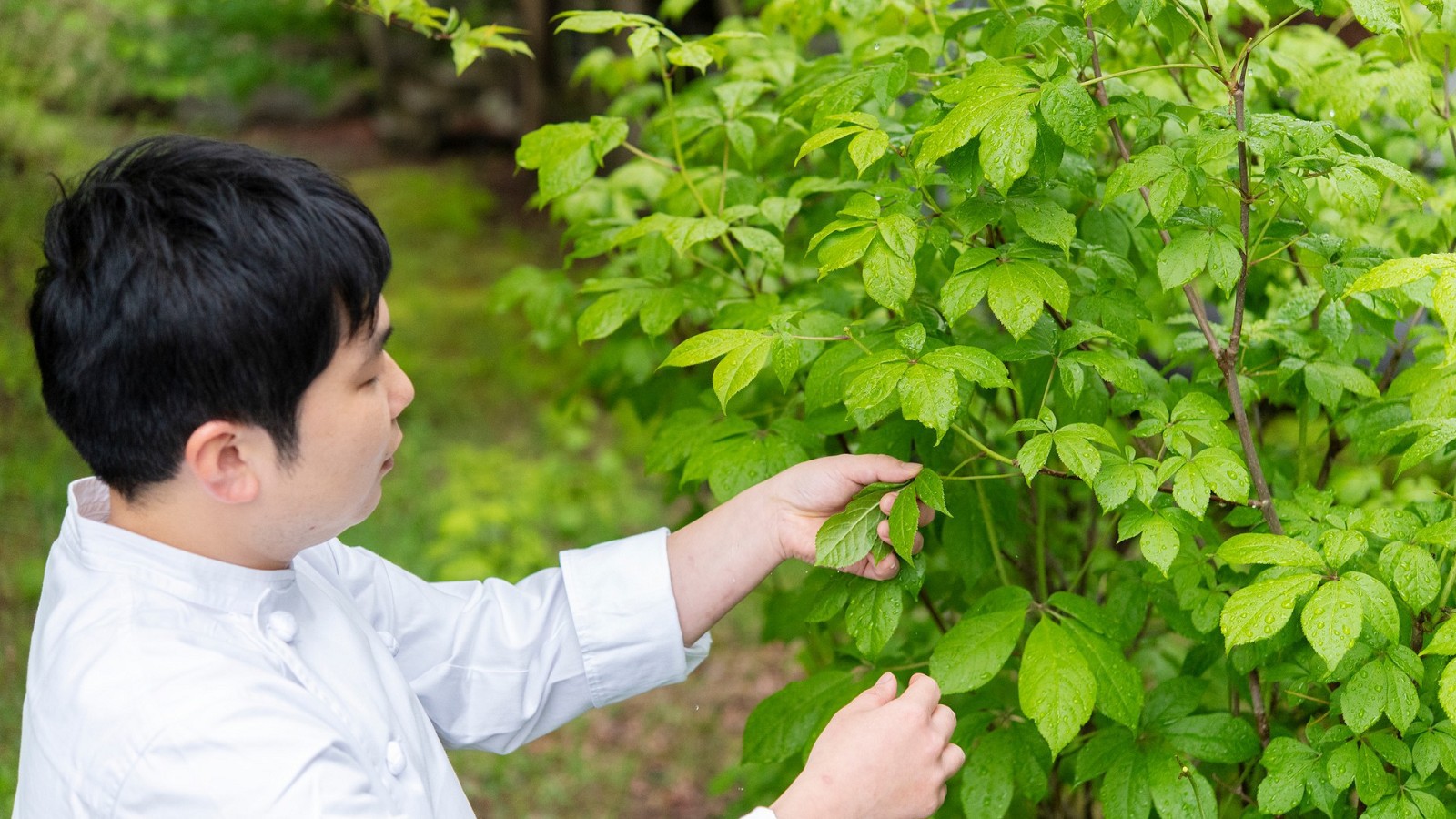 野菜ソムリエの資格を持つ料理長厳選の旬野菜などを使った創作料理をご用意いたします