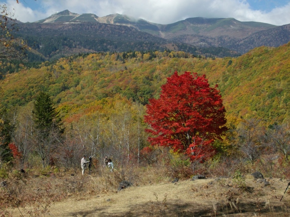 一の瀬紅葉全景