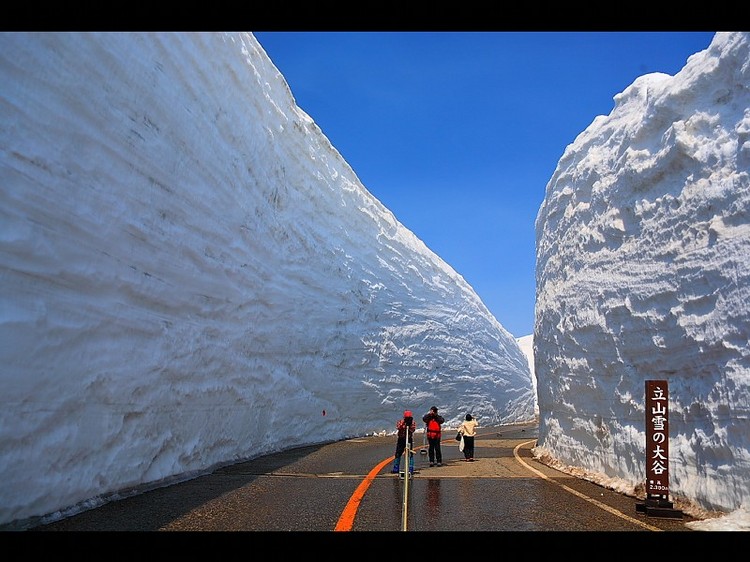 立山黒部アルペンルート【高さ１６mの雪道】