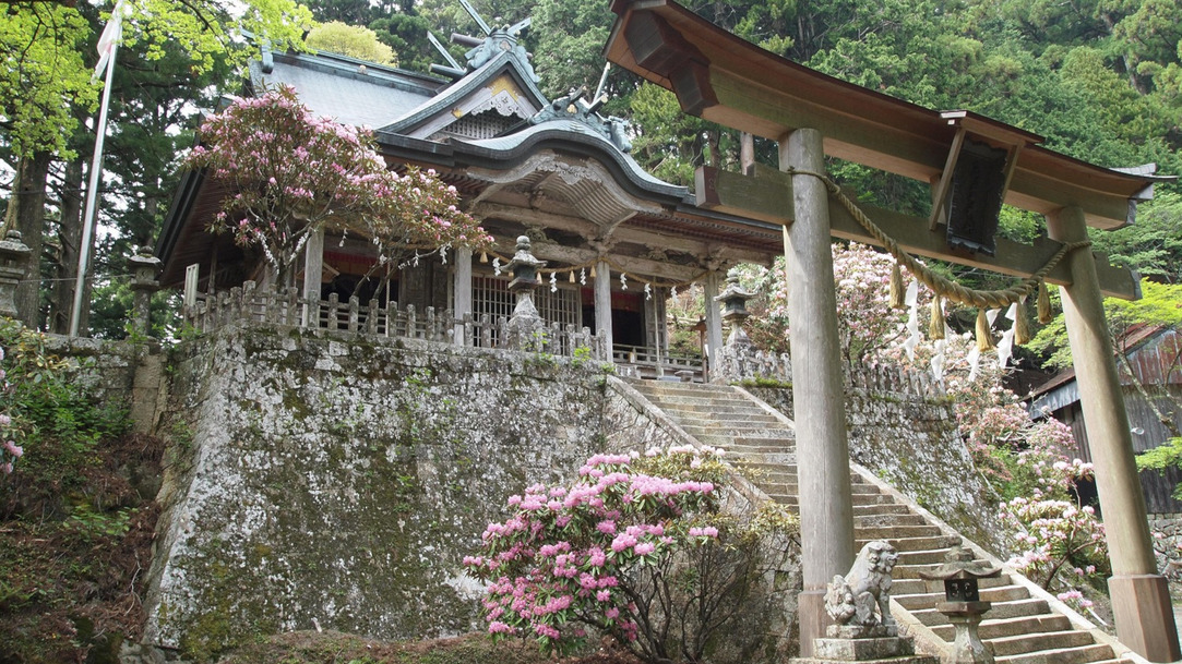 観光スポット玉置神社