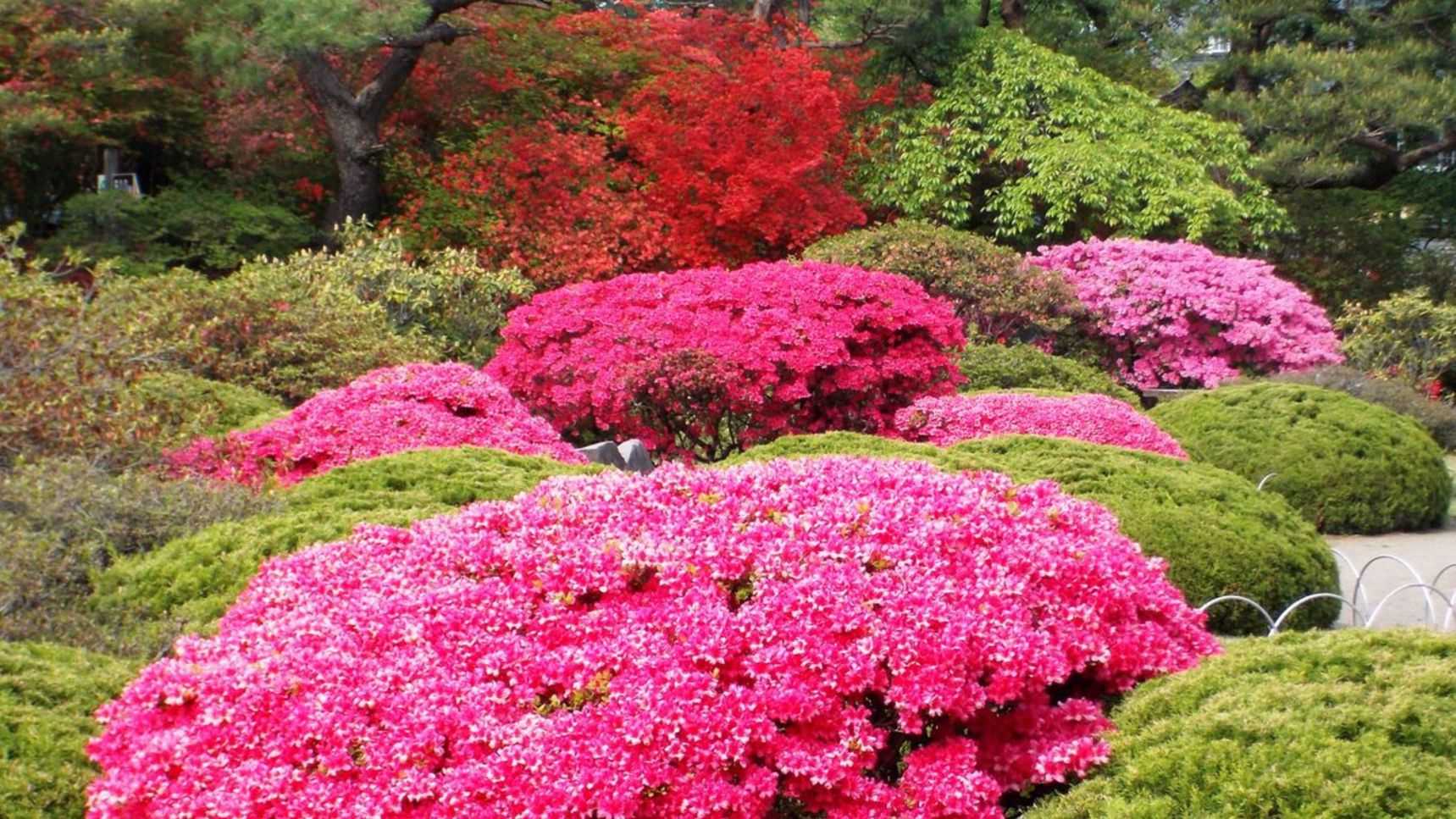 周辺_沼田公園 