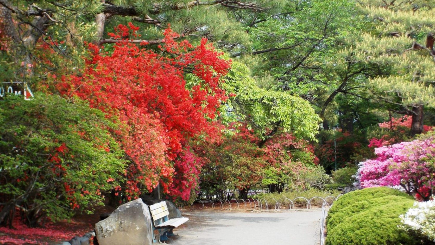 周辺_沼田公園 