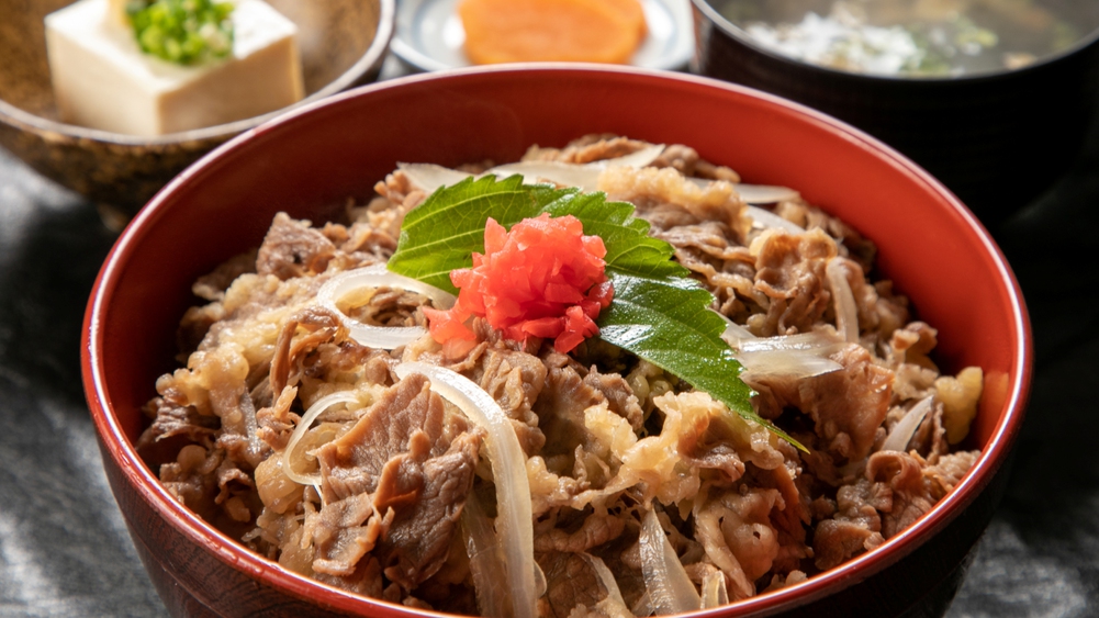 【日帰りメニュー】牛丼セット