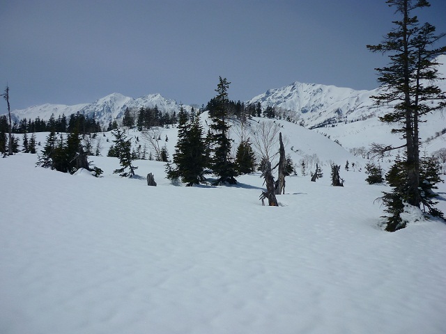 3月の栂池自然園と白馬岳
