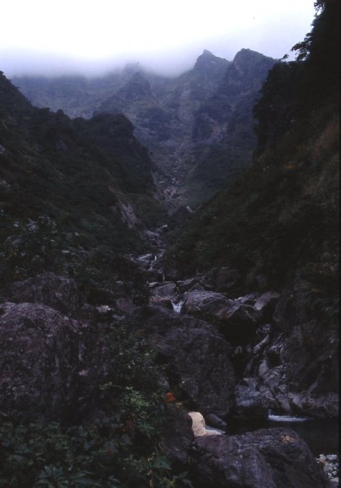 凤头翠鸟庄