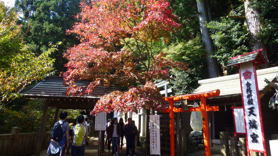 *【阿夫利神社周辺】ここから約90分の山登りがスタート！がんばって登りましょう！！