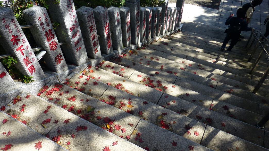 *【阿夫利神社周辺】神社へ続く階段には、小さな秋“;真っ赤な紅葉”;