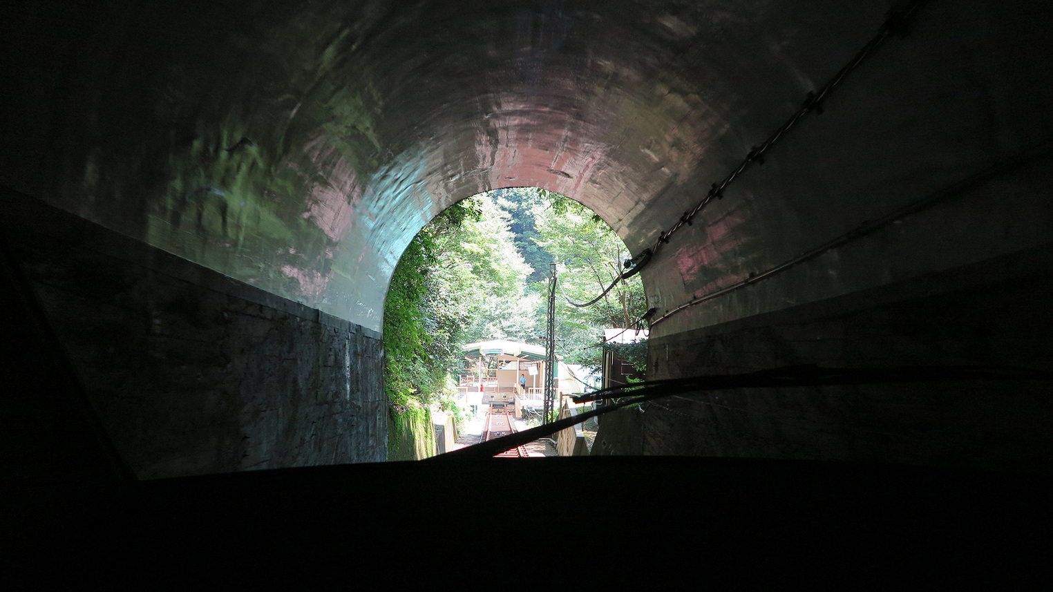  *【周辺情報】大山ケーブルーカーからの車窓。急勾配を登っていきます。