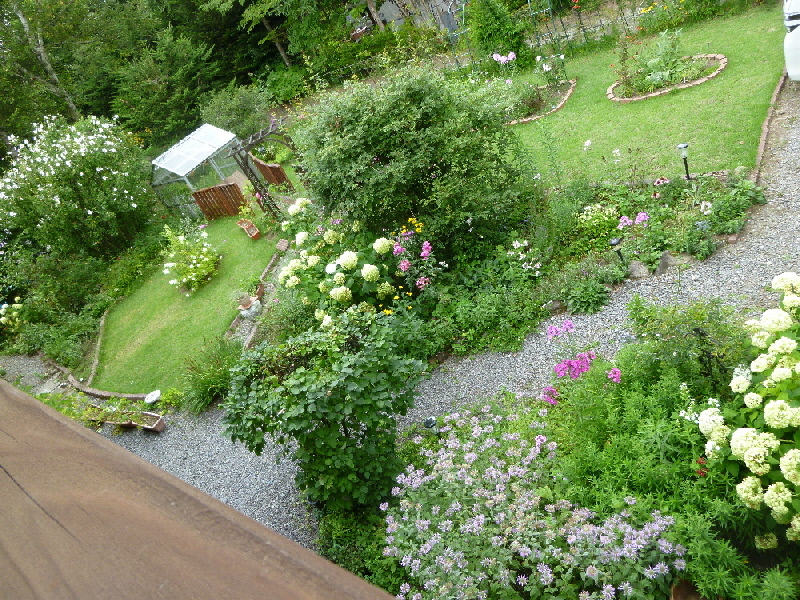 客室からの眺め（西側）８月