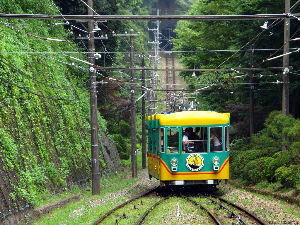 観光：高尾山へお車で40分。自然豊かです♪