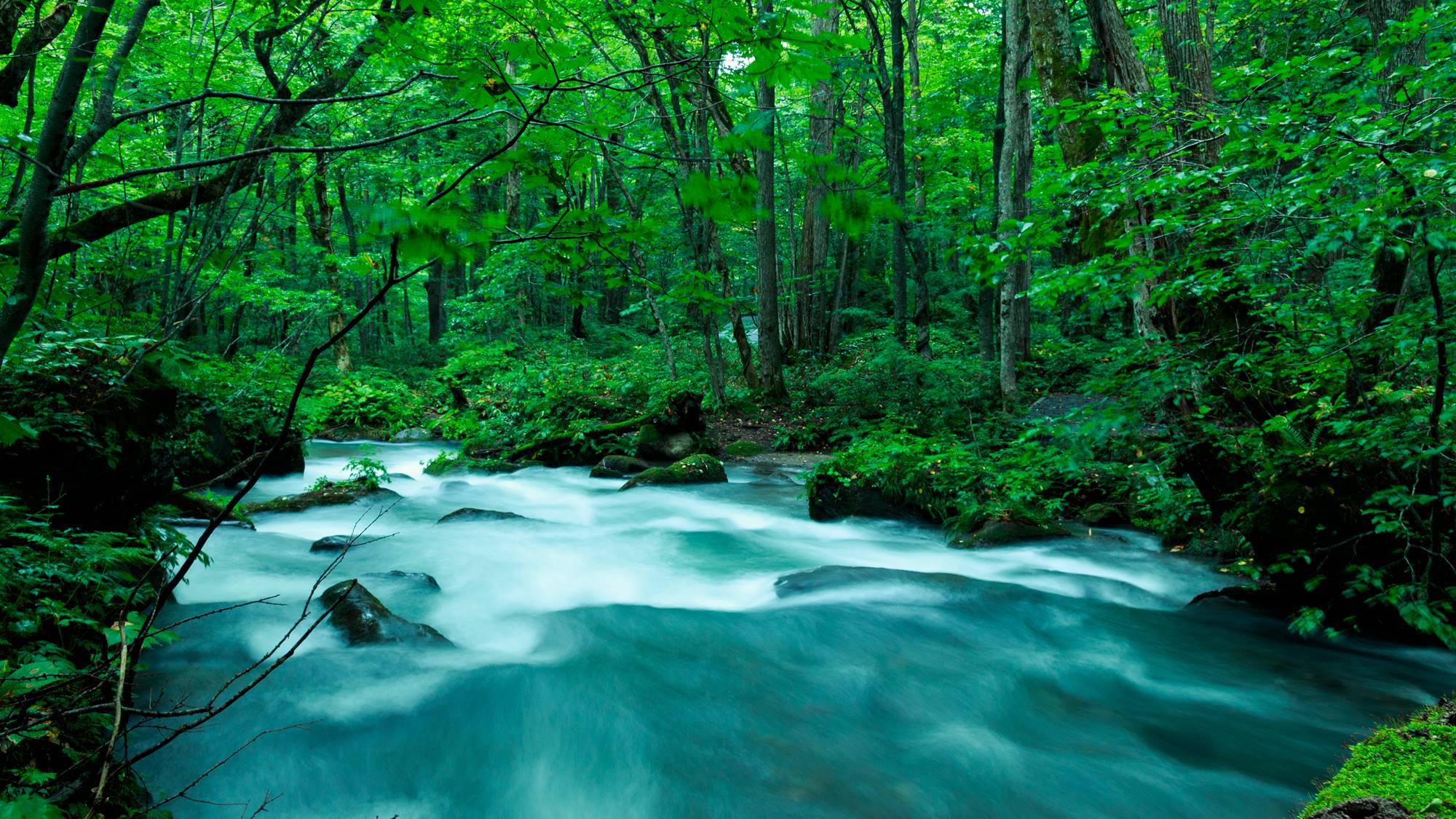 *観光/奥入瀬渓流