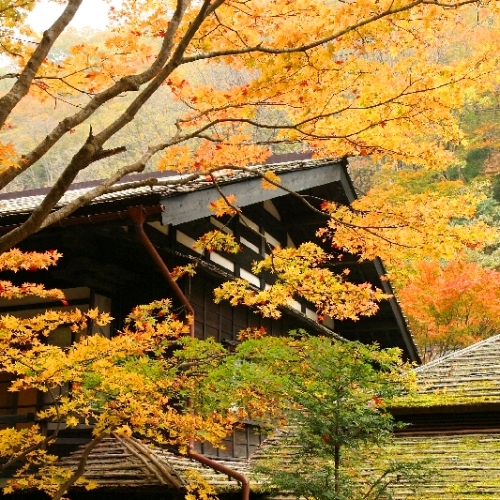 Hoshi Onsen Chojukan