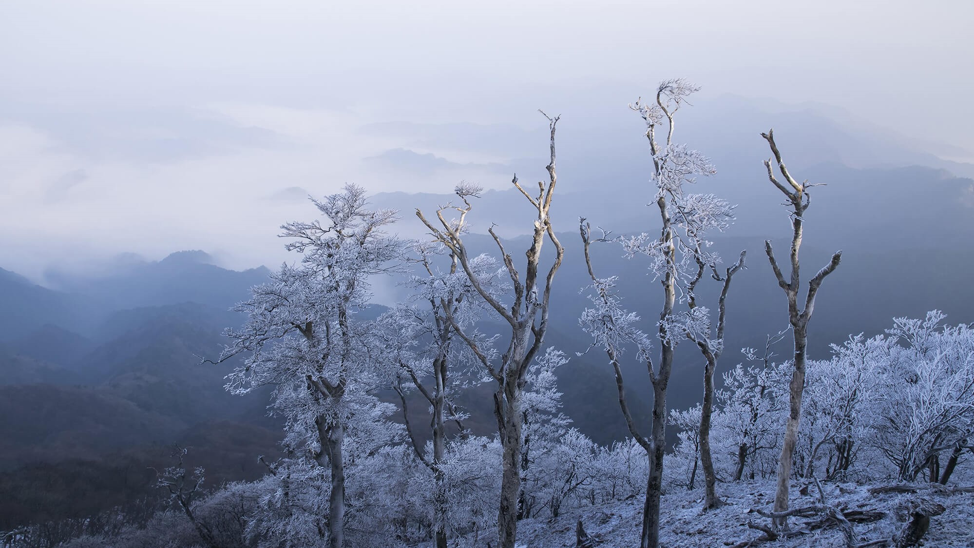 高見山（当館よりお車で約1時間15分）