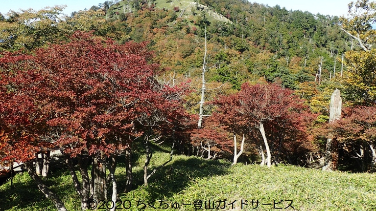 *紅葉と日出ヶ岳