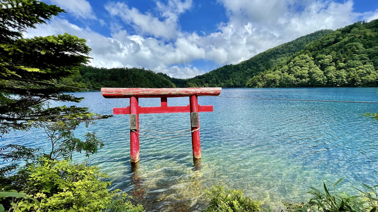 【周辺】志賀高原の絶景スポット「大沼池」、宿泊の際の観光にどうぞ