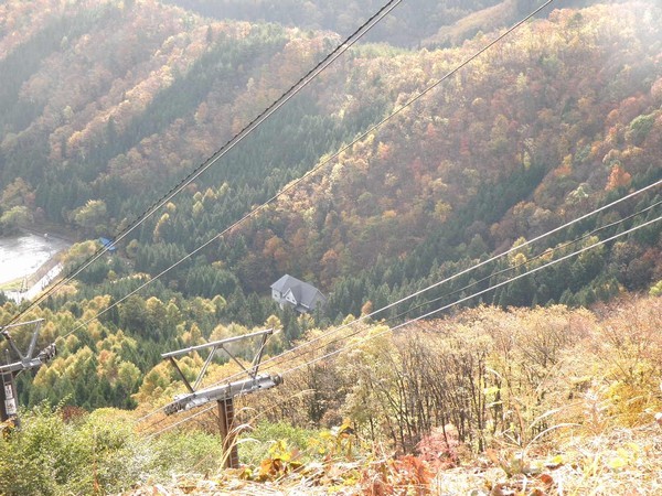 紅葉の山の中の一軒宿Ｗｉｚ見つけてね！