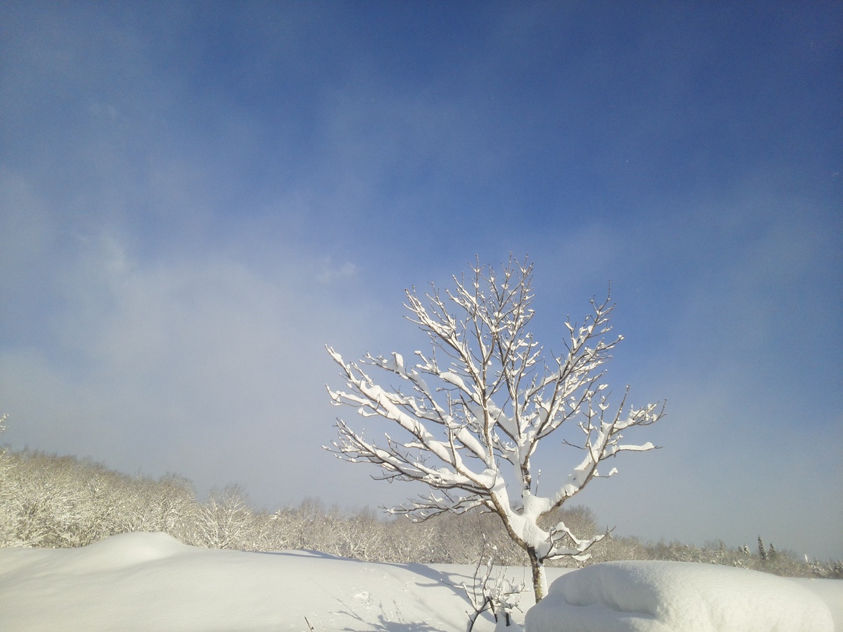 雪景色青空