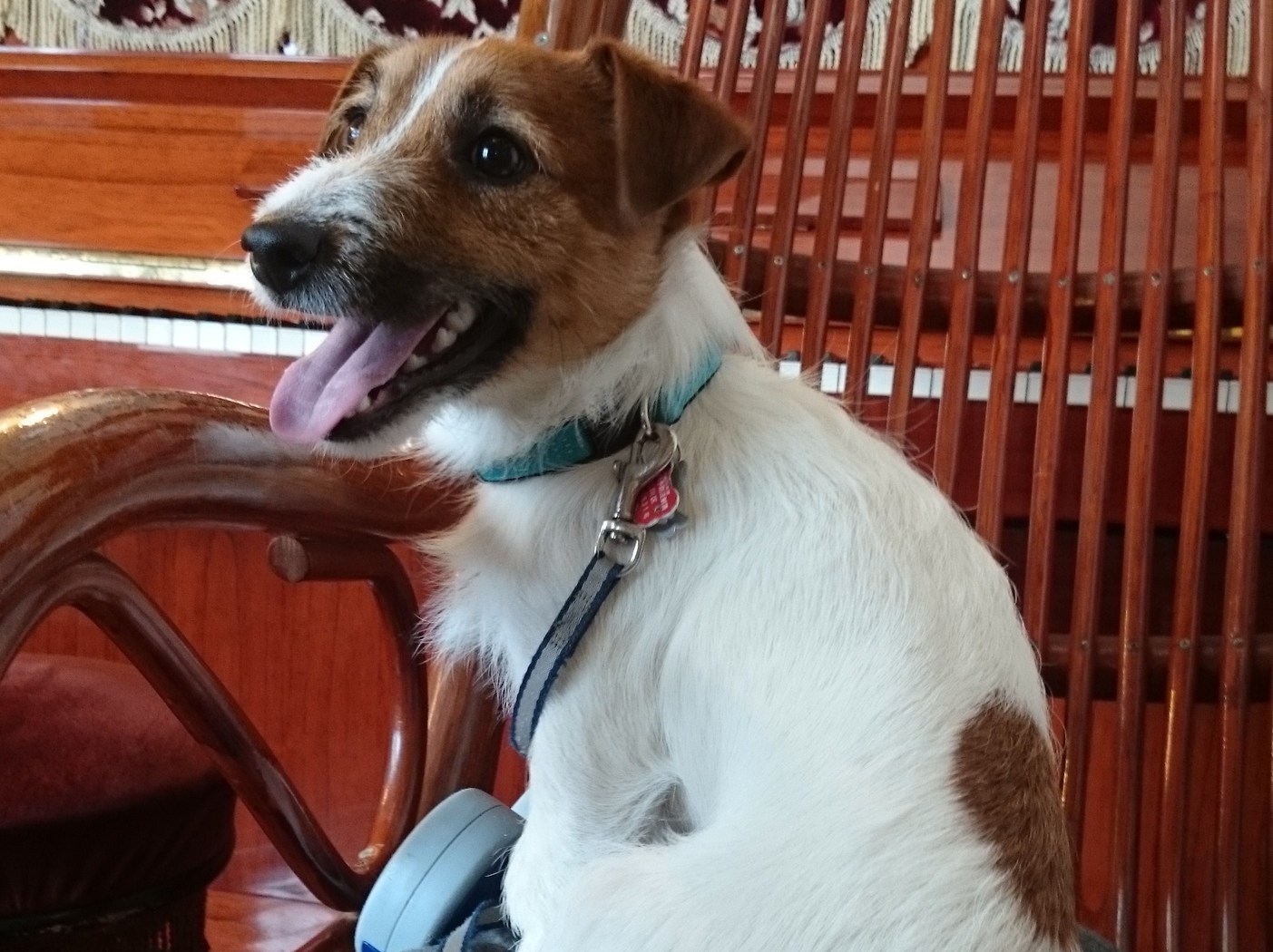 Pension & Cottage Shokubutsushi Image 4, Hakuba, Japan