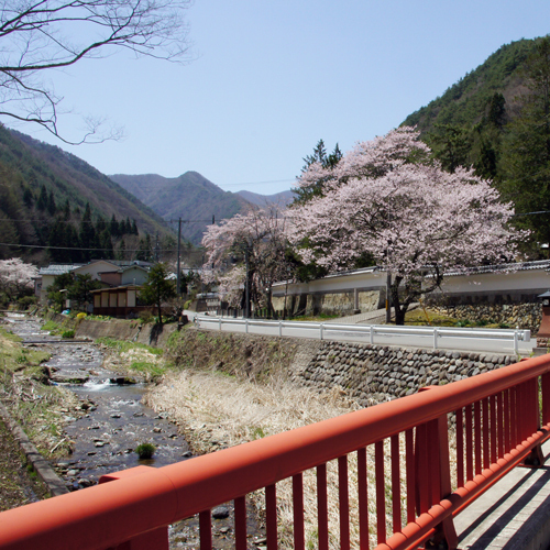 *周辺景観（春）