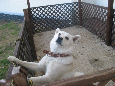 Okayama Ikoi no Mura Image 2, Setouchi, Japan