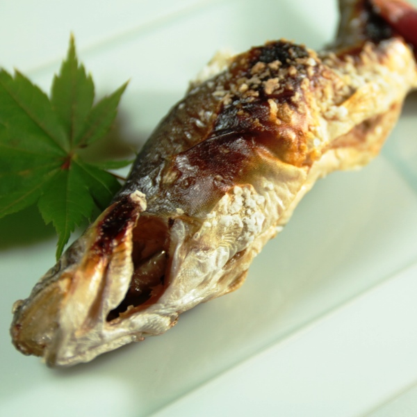 【焼き魚】和食×;イタリアンの創作料理。