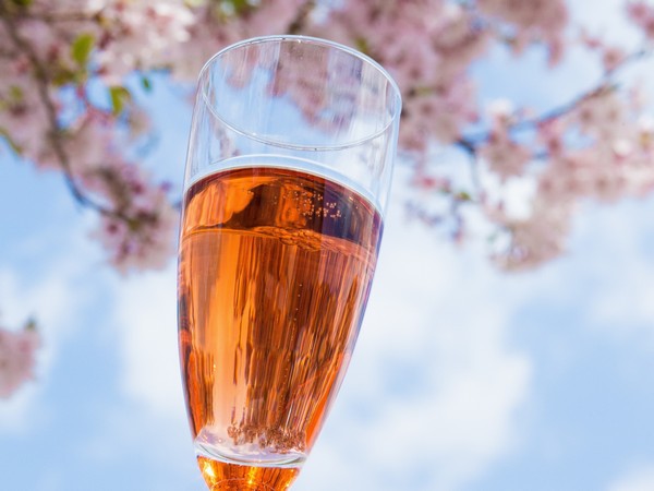 ロゼワインで乾杯！