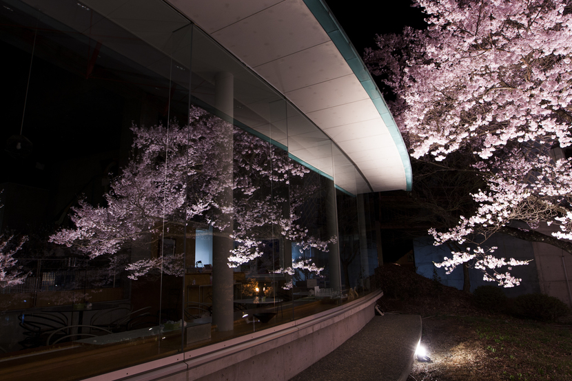 高遠城址公園にある美術館の桜