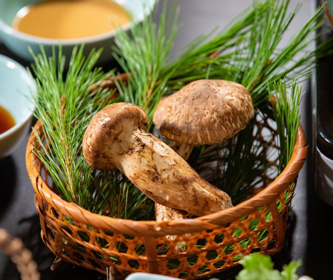 秋の味覚の王様「松茸」
