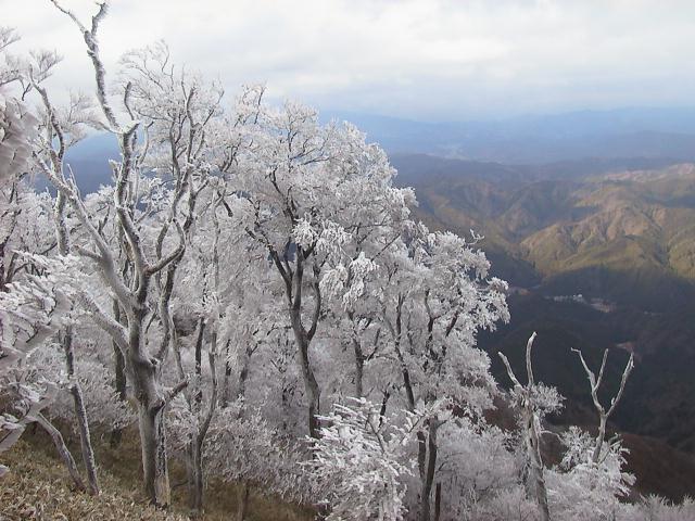 高見山樹氷