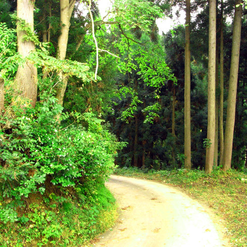 This photo about Futatsuya Onsen Kokoro no Yado Yasuragi shared on HyHotel.com
