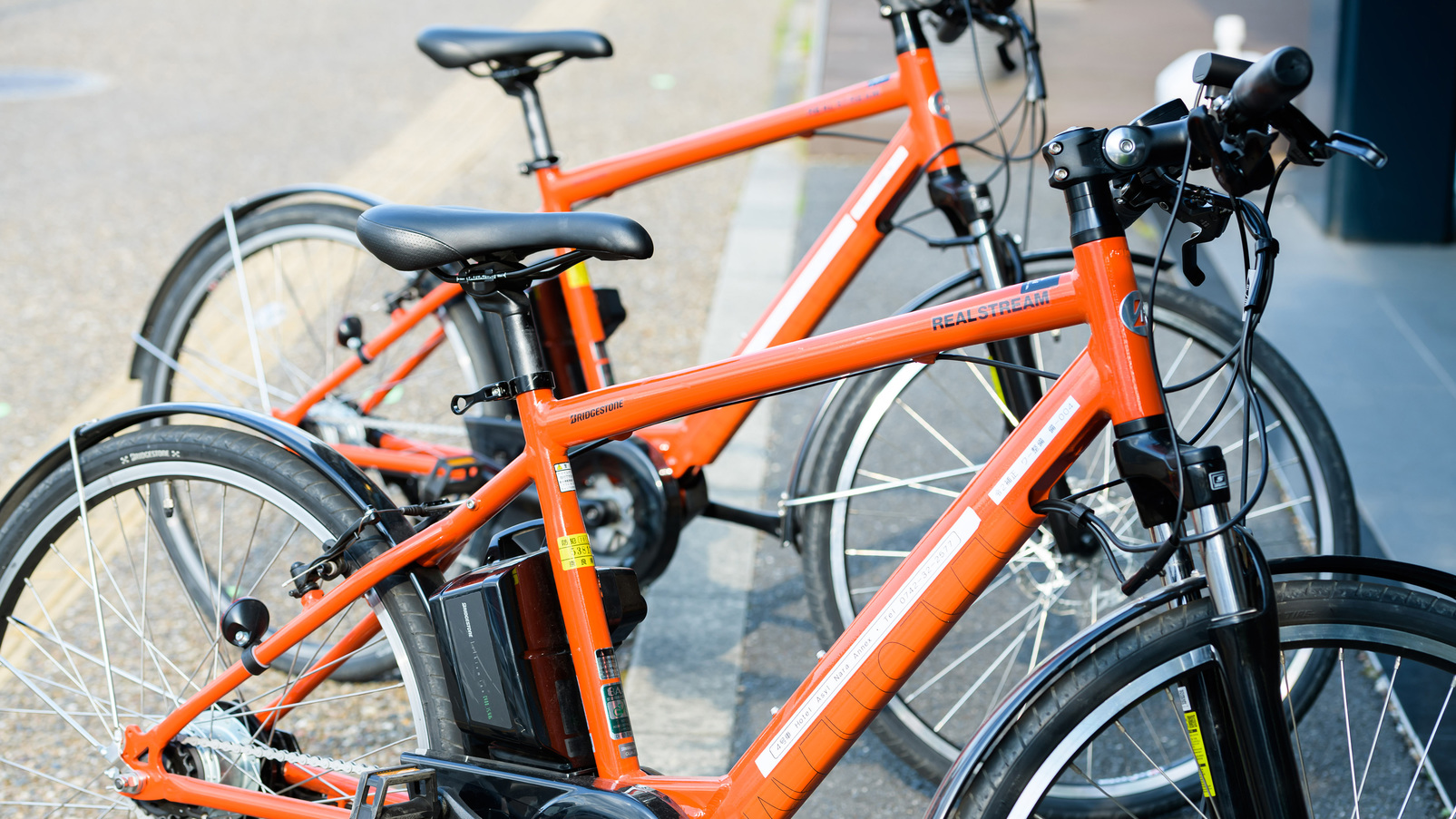 【レンタサイクル】電動自転車でらくらく奈良観光！